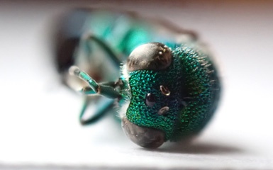 P5125109a.jpg